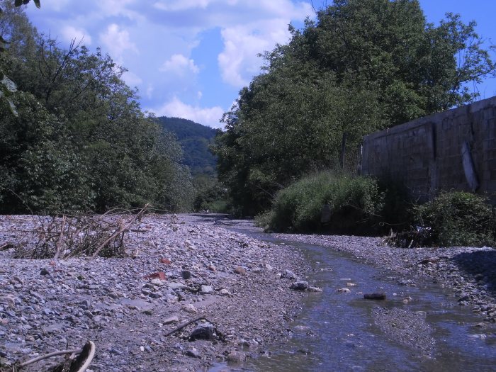 Србијом уздуж и попреко. Шумска речица, притока Пека, 2014, мај. (Заветине)